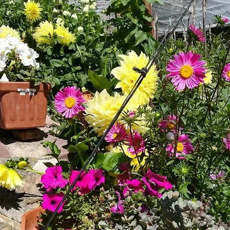 Casa Palacin 3* Gistaín