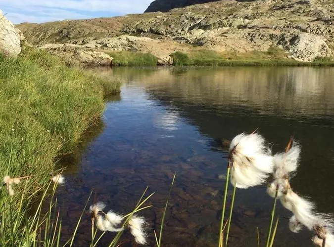 Bed & Breakfast Casa Palacin 3*