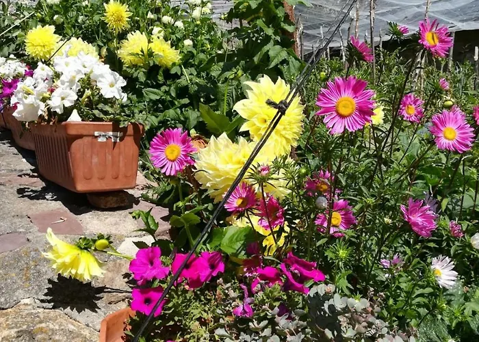 Casa Palacin 3* Gistaín